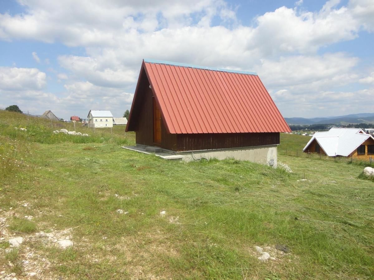 Апартаменты Studio apartment Pitomine Жабляк-20