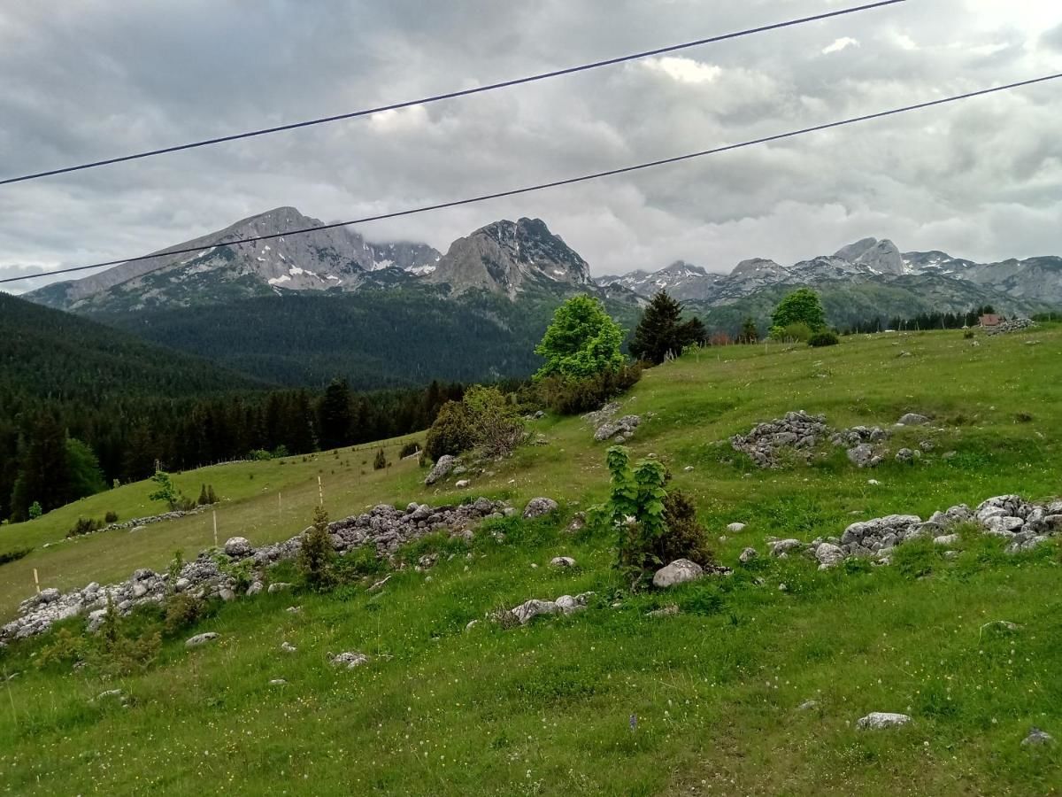 Апартаменты Studio apartment Pitomine Жабляк-5