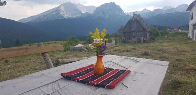 Апартаменты Studio apartment Pitomine Жабляк-3