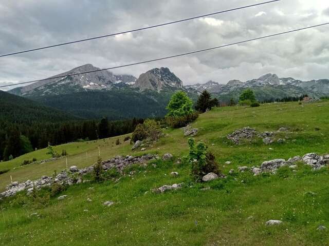 Апартаменты Studio apartment Pitomine Жабляк-4